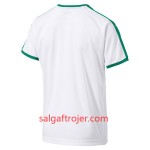 Senegal Fodboldtrøjer Hjemmebanesæt VM 2018